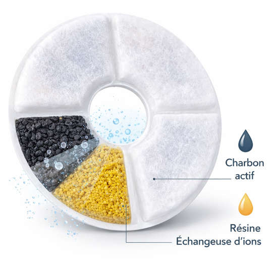 Filtres à charbon actif pour fontaine à eau pour chat