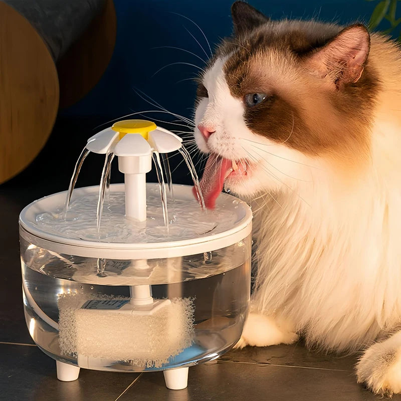 Fontaine à eau pour chat – Automatique & silencieuse